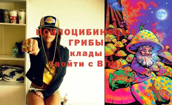 бутират Алексеевка