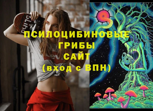 бутират Алексеевка