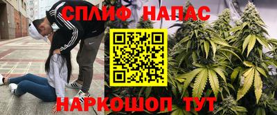 ECSTASY Белореченск
