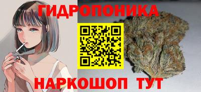 таблы Бердск