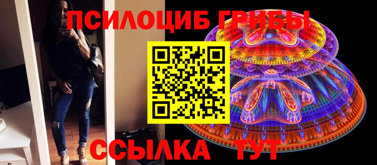Находка  Галлюциногенные грибы Cubensis  Вход с VPN 